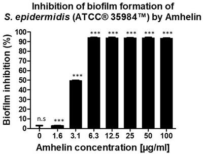 Activated Polyhydroxyalkanoate Meshes Prevent Bacterial Adhesion and Biofilm Development in Regenerative Medicine Applications